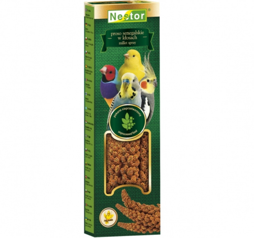 NESTOR Proso senegalskie żółte całe kłosy przysmak ptaków papugi w kłosach na Arena.pl