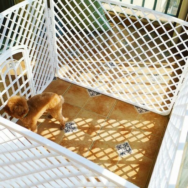 Zagroda dla Psa 90x90x60cm Biała zdjęcie 6