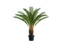 Sztuczna palma z kokosem Premium cykas 110