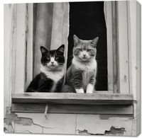 Obraz 100x100cm Para w Oknie