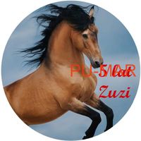 Opłatek na tort KONIE Koń Mustang Konik Kuc Urodziny Tekst Gratis