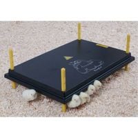 Płyta grzewcza „Comfort" dla piskląt 40x60cm, 56W / 220-240V WP-60