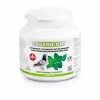 Gastrocid Patron 250 g antybakteryjny