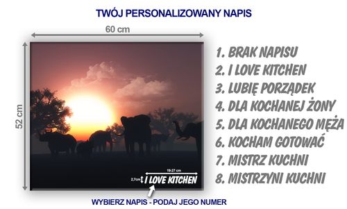 SZKLANA DESKA NA KUCHENKĘ 60x52 066A SŁONIE na Arena.pl