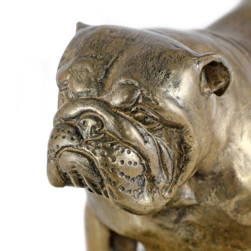 Buldog Angielski - figurka - 2388 na Arena.pl
