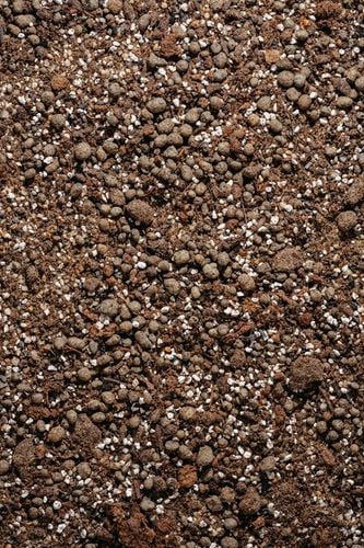 Ziemia do SUKULENTÓW i KAKTUSÓW 3L bigos, podłoże na Arena.pl