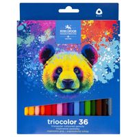 kredki triocolor 3145 36 kol. 9 mm niedźwiedź 3071