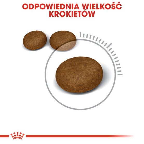 Weterynaryjna karma dla kota wspierająca sierść i skórę - Royal Canin 4kg zdjęcie 4