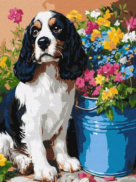 Malowanie po numerach - Uroczy spaniel 30x40cm zdjęcie 1