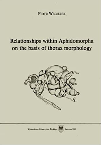 MSZYCE - CZERWCE - KOLISZKI - MACZLIKI - BADANIA zdjęcie 1