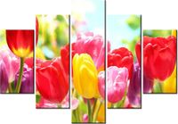 105CM 150CM OBRAZ 5 ELEM ŻÓŁTY TULIPAN DRUK