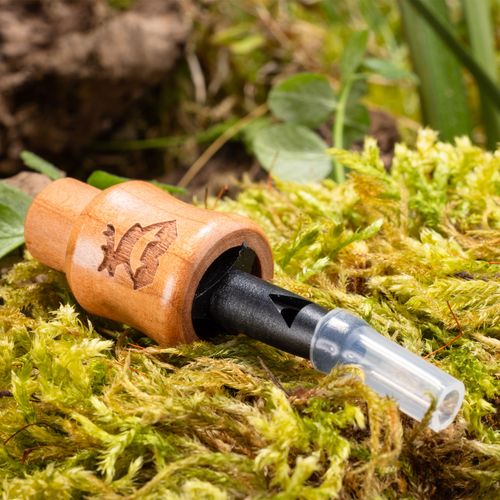 Przynęta leszczyna na Arena.pl