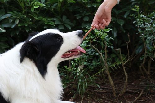 Pałeczki wołowe dla psa - przysmak z wołowiną i ryżem 500g SNAPPY na Arena.pl