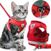 SZELKI BEZUCISKOWE SPACEROWE REGULOWANE ODBLASK DLA KOTA + SMYCZ ROZMIAR M