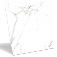 PŁYTKI PODŁOGOWE ŁAZIENKOWE GRES BIAŁY MARMUR STATUARIO 60X60 MATT CARVING