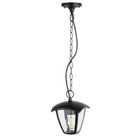 Lampa do ogrodu altanki wisząca IGMA 311887 POLUX