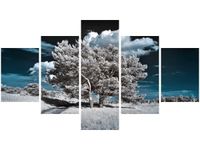 product-compare-58706026