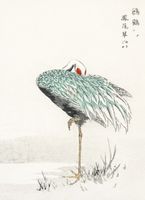 Plakat 40x55cm White-naped Crane, Kashu Vintage do Salonu