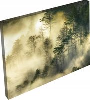 OBRAZ na płótnie LAS WE MGLE WIDOK NATURA 120x80