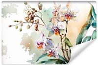 product-compare-55978346