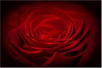 product-compare-58694880