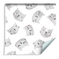 Tapeta Dla Dzieci - Kocie Buźki