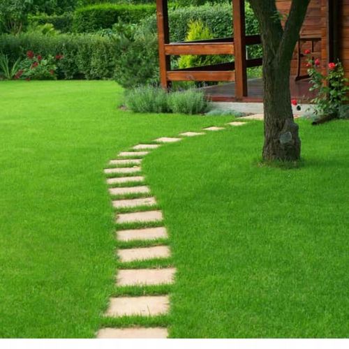 Compo Expert Novatec N-max 25kg Nawóz do Trawy Szybki Wzrost 24-5-5 na Arena.pl