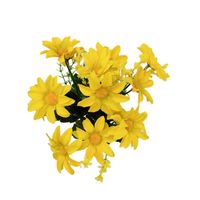 Bukiecik stokrotka x7 żółty