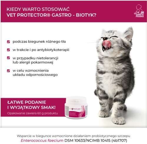 Vet Protector Gastro – Biotyk 60 gram na Arena.pl