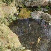 Kratki ochronne do stawu, 40 szt., czarne, polipropylenowe