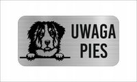 GRAWER Tabliczka nierdzewna 20x10 cm UWAGA PIES Berneński pies pasterski