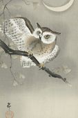 Plakat 61x91,5cm Long-Eared Owl 2, Koson Japoński Vintage do Salonu