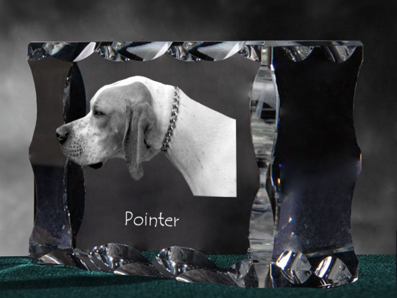Pointer I ramka kryształowa z psem Art-Dog zdjęcie 6
