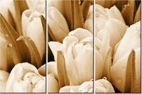 60 90CM OBRAZ 3 ELEM ŚWIEŻE TULIPANY DRUK PŁÓTNO RAMA