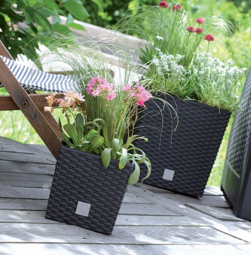 Doniczka RATO niska DRTS225L z wkładem | Umbra na Arena.pl