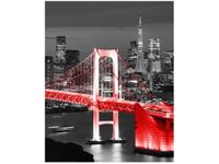 40X50CM TOKYO MOST TĘCZOWY CZERWIENI OBRAZ DRUK