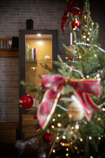 Witryna wąska 1 Loft dąb dziki zdjęcie 7