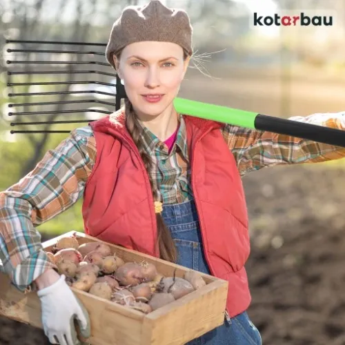 WIDŁY 10 ZĘBNE BURAKÓW ZIEMNIAKÓW KAMIENIA GABLE na Arena.pl