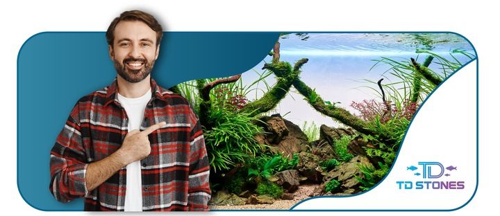 Podłoże Aktywne do Akwarium Siła Natury dla Twoich Roślin NATURE SOIL 3L zdjęcie 2