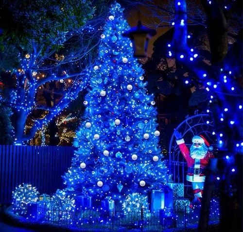 LAMPKI CHOINKOWE 1000 LED FLASH ZEWNĘTRZNE WEWNĘTRZNE ŚWIĘTA NIEBIESKIE na Arena.pl