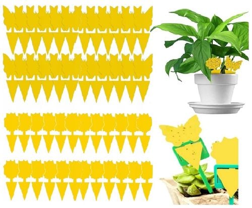 60x ŻÓŁTY LEP DO DONICZEK MOTYL na ziemiórki mszyce muszki owocówki na Arena.pl