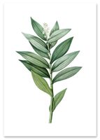 Plakat zielona gałązka 21x29,7 cm A4