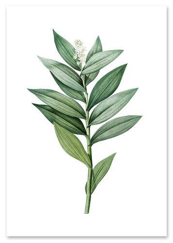 Plakat zielona gałązka 21x29,7 cm A4 na Arena.pl