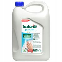 Ludwik Balsam do Mycia Naczyń Aloesowy 5l