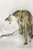 Plakat 56,6x86,4cm Roaring Tiger, Koson Japoński Vintage do Salonu