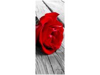 OBRAZ RED ROSE