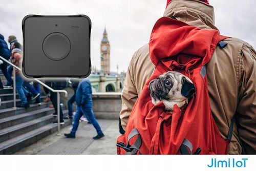 Lokalizator GPS 4G Personalny Osób Alarm Dźwiękowy IP65 Platforma Śledzenia na Arena.pl