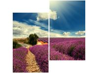 product-compare-58647232