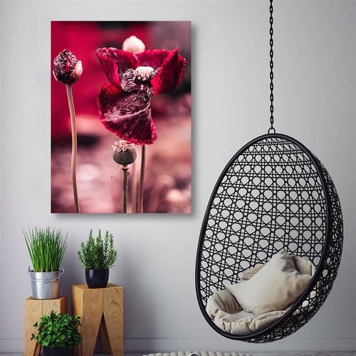 Obraz na płótnie – Canvas, Mak na łące 60x80 na Arena.pl
