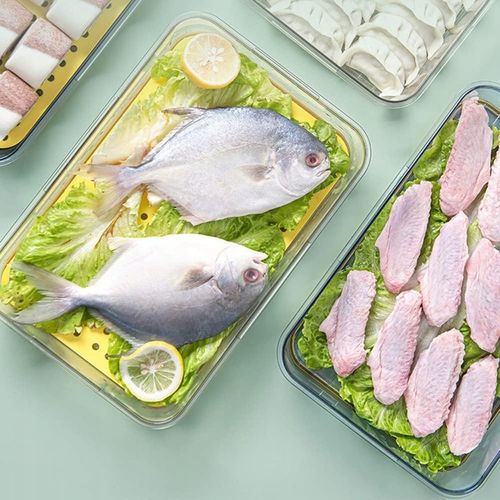 POJEMNIK NA ŻYWNOŚĆ DO LODÓWKI NA WĘDLINY HERMETYCZNY Z DATOWNIKIEM na Arena.pl